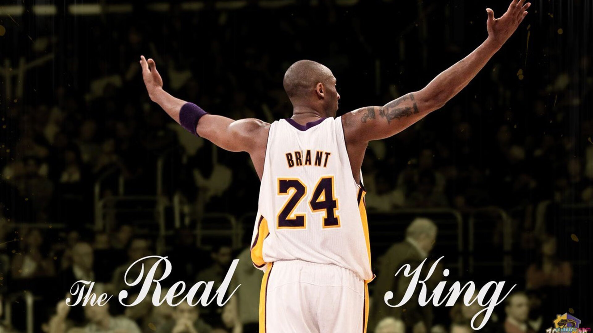 体育新闻中心发布体育短视频多平台分发策略，体育短视频创作